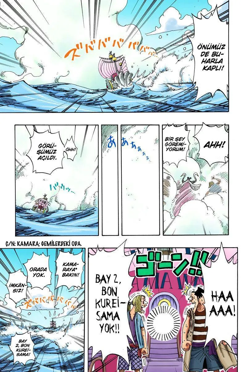 One Piece [Renkli] - Sayfa 7