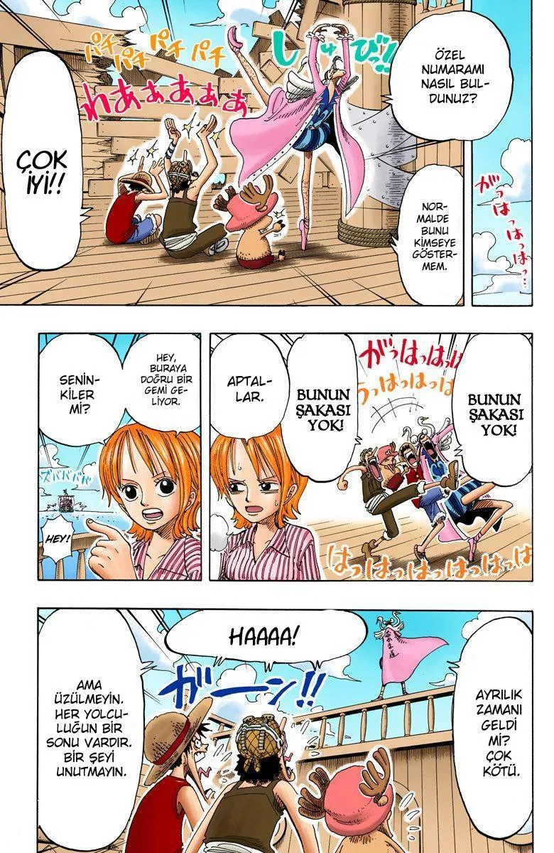 One Piece [Renkli] - Sayfa 15