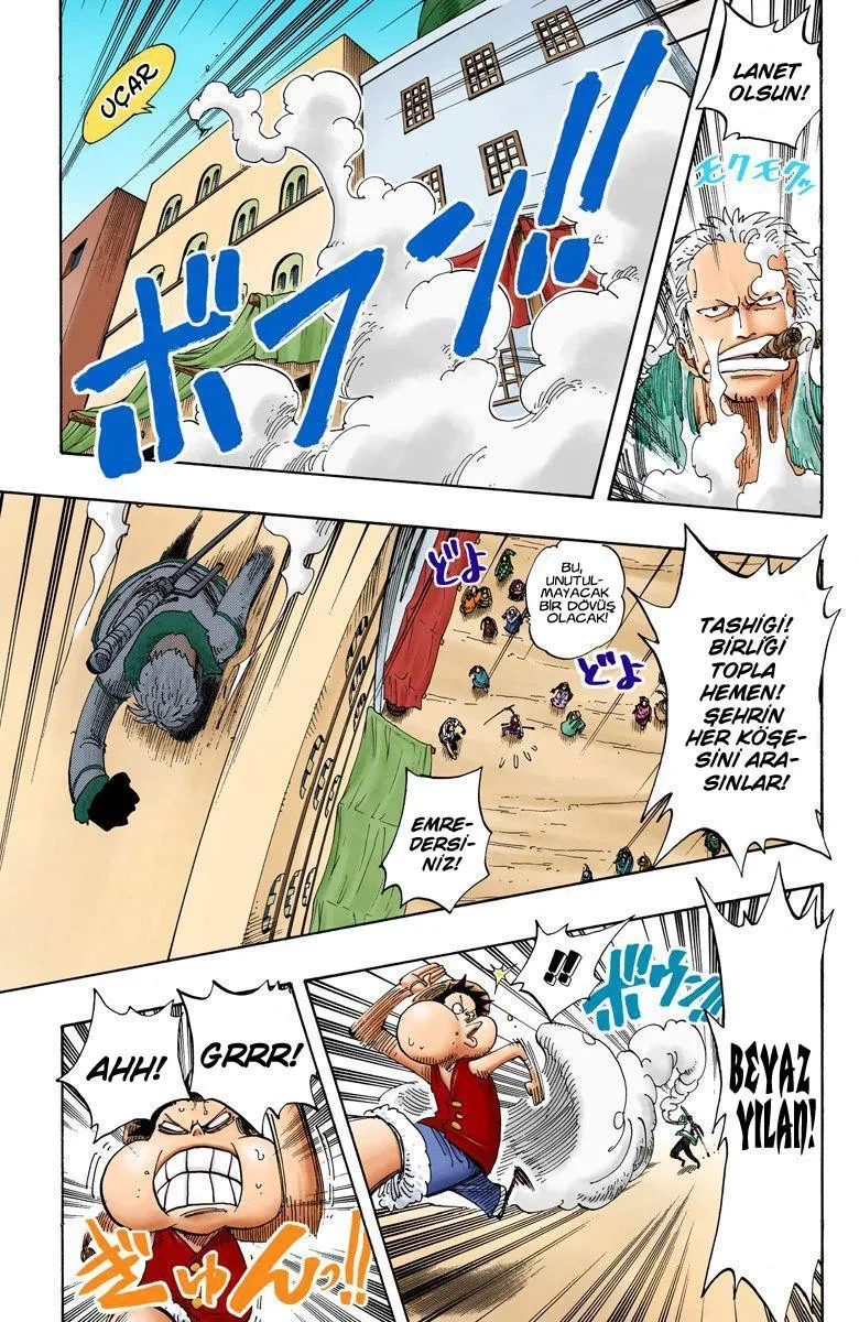 One Piece [Renkli] - Sayfa 14