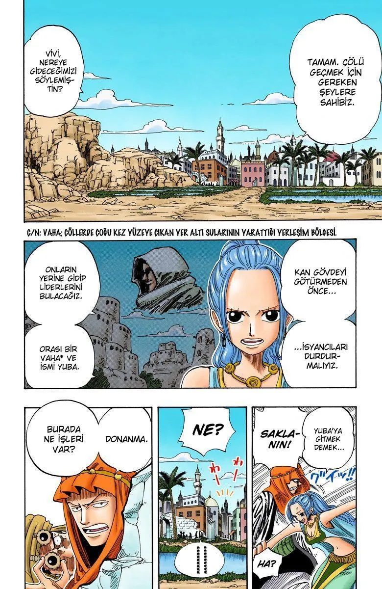 One Piece [Renkli] - Sayfa 17