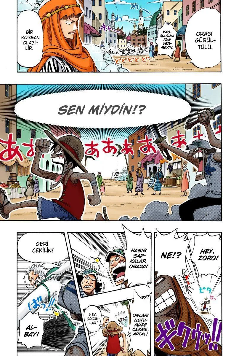 One Piece [Renkli] - Sayfa 18