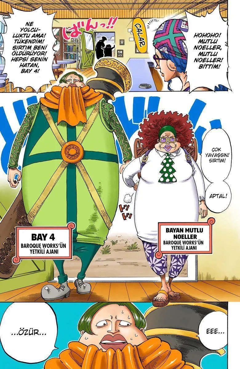 One Piece [Renkli] - Sayfa 9