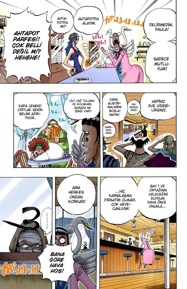 One Piece [Renkli] - Sayfa 13