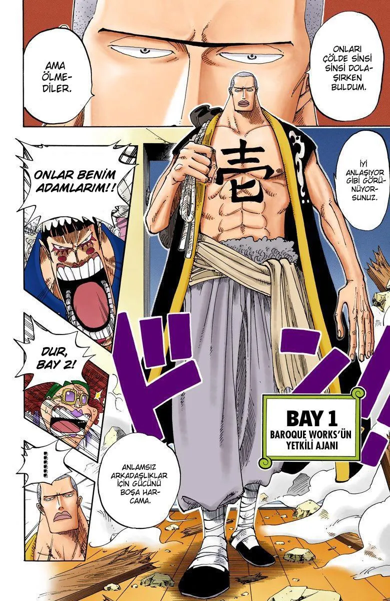 One Piece [Renkli] - Sayfa 16