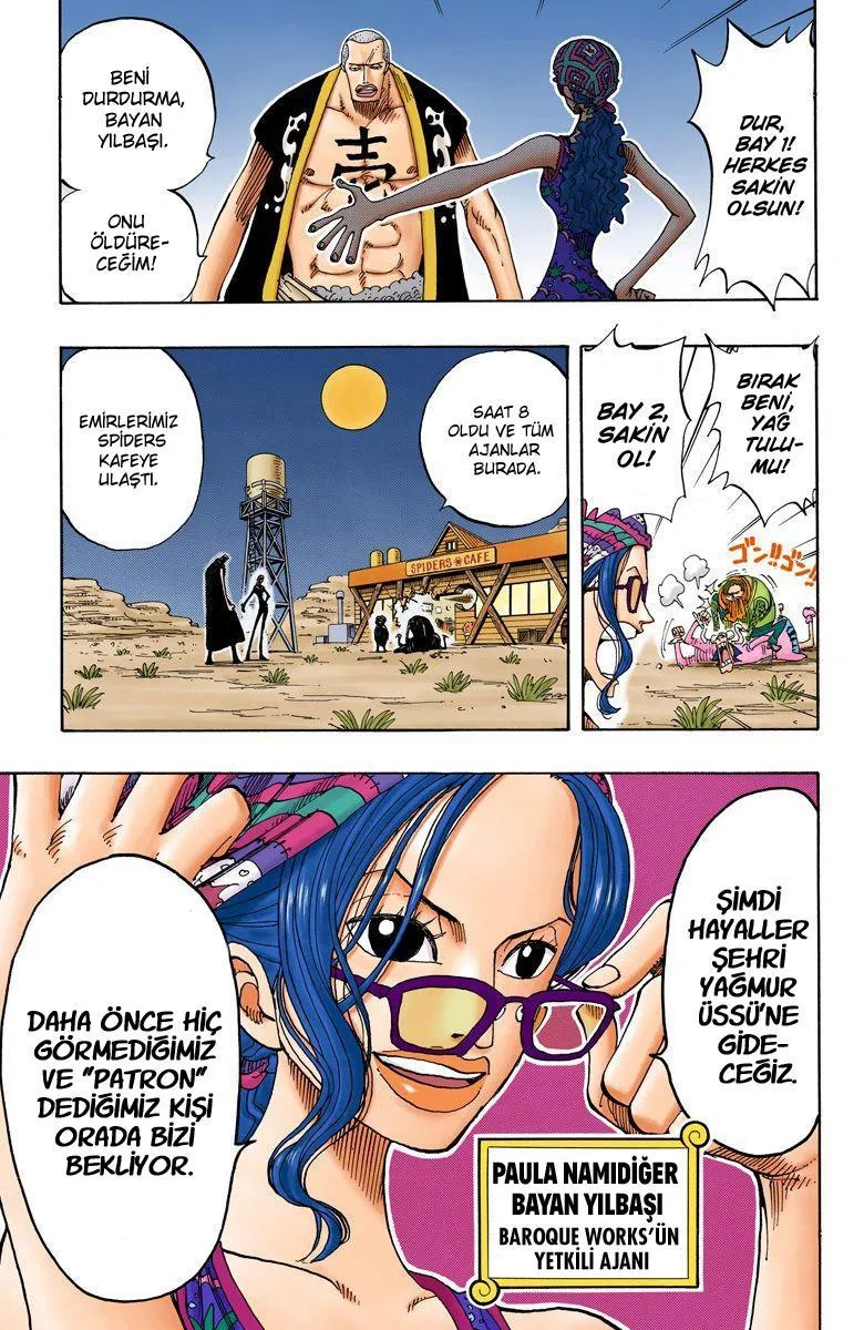 One Piece [Renkli] - Sayfa 19