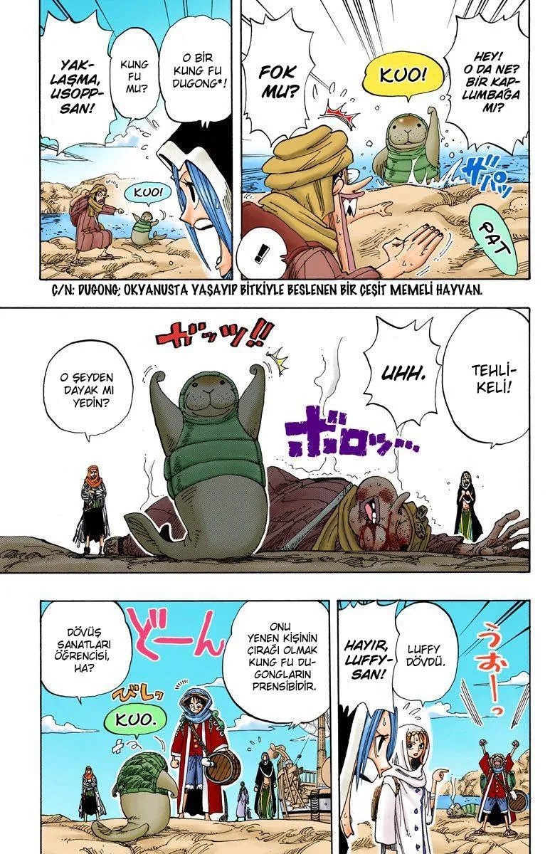 One Piece [Renkli] - Sayfa 7