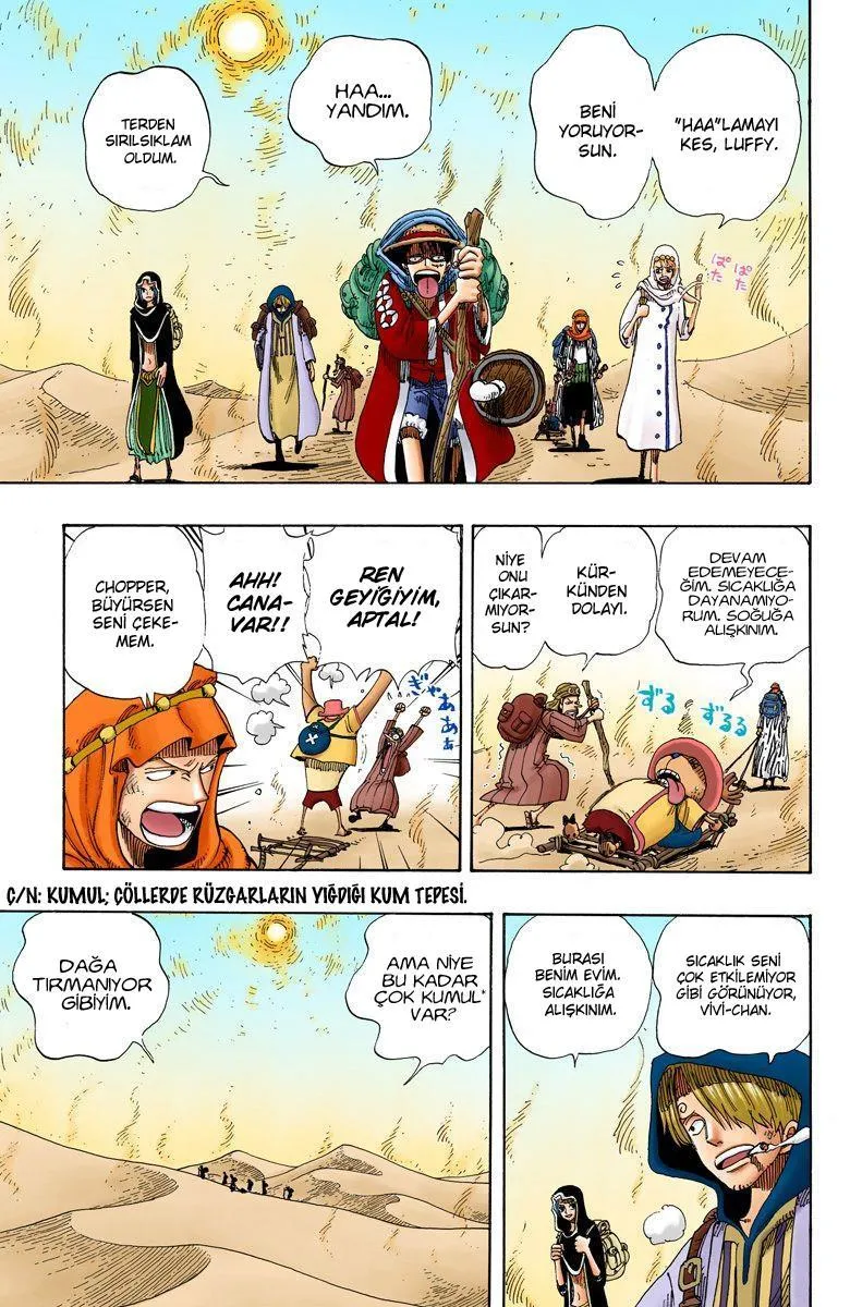 One Piece [Renkli] - Sayfa 4