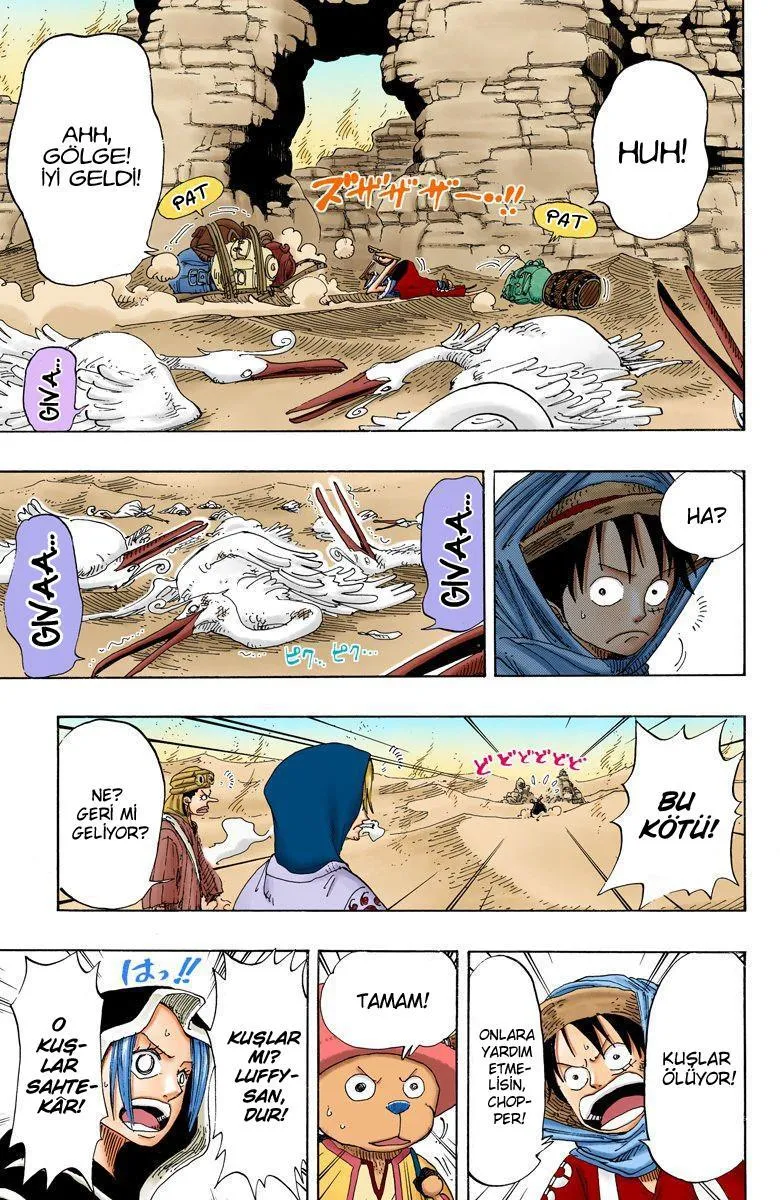 One Piece [Renkli] - Sayfa 8