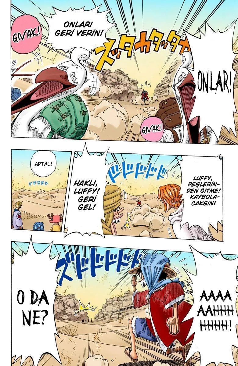 One Piece [Renkli] - Sayfa 11