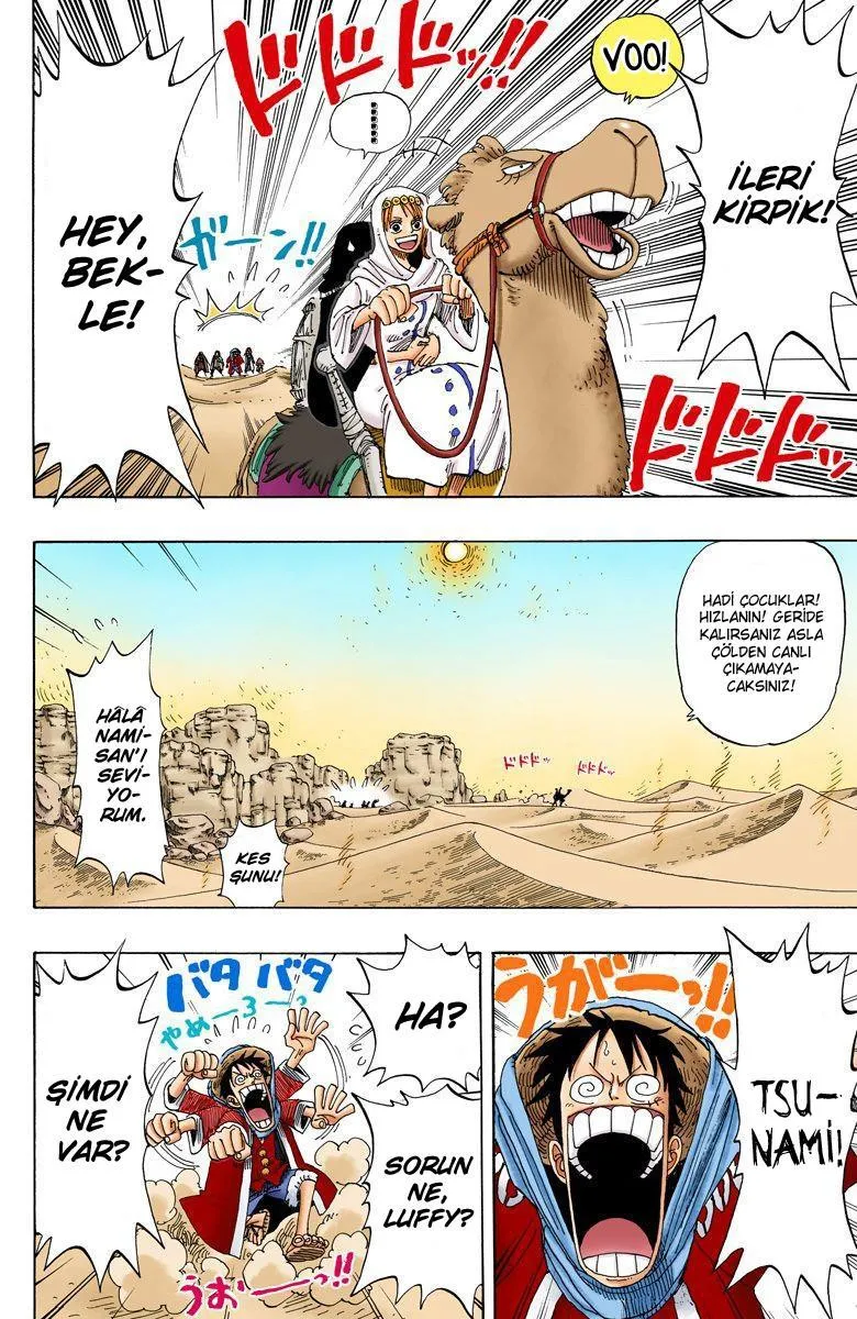 One Piece [Renkli] - Sayfa 16