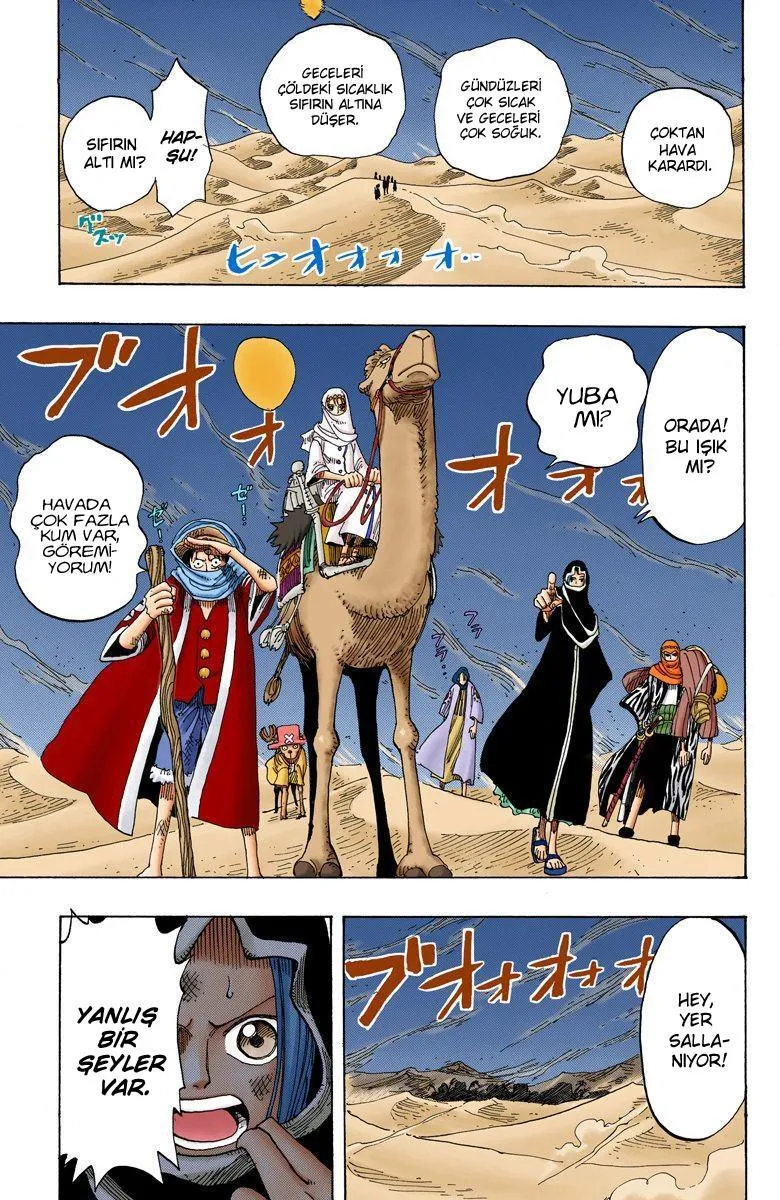 One Piece [Renkli] - Sayfa 19