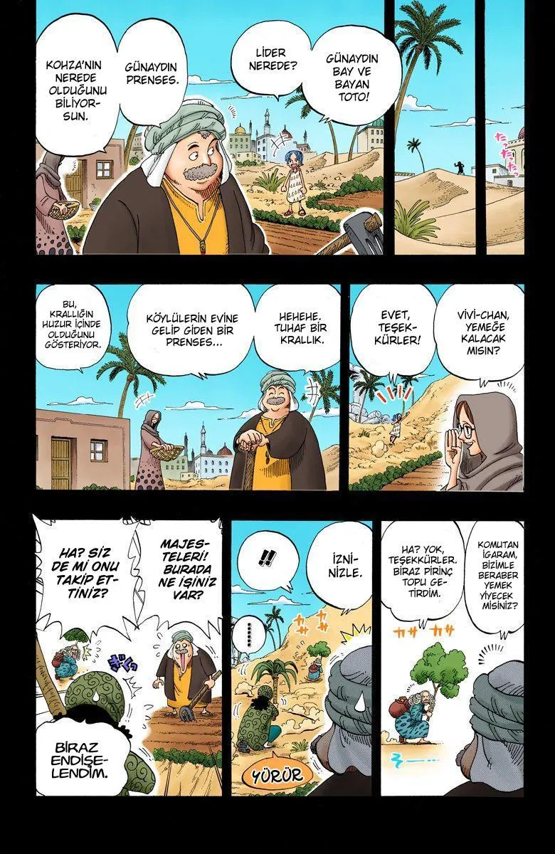 One Piece [Renkli] - Sayfa 17