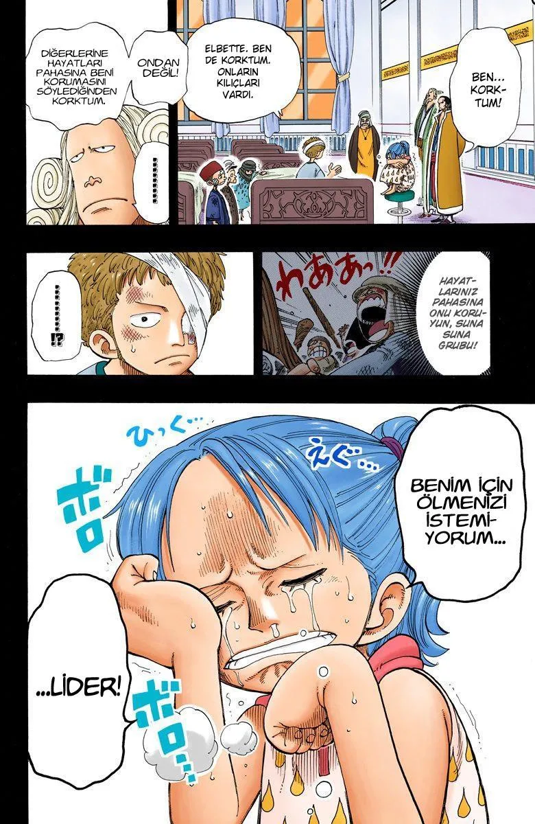 One Piece [Renkli] - Sayfa 13