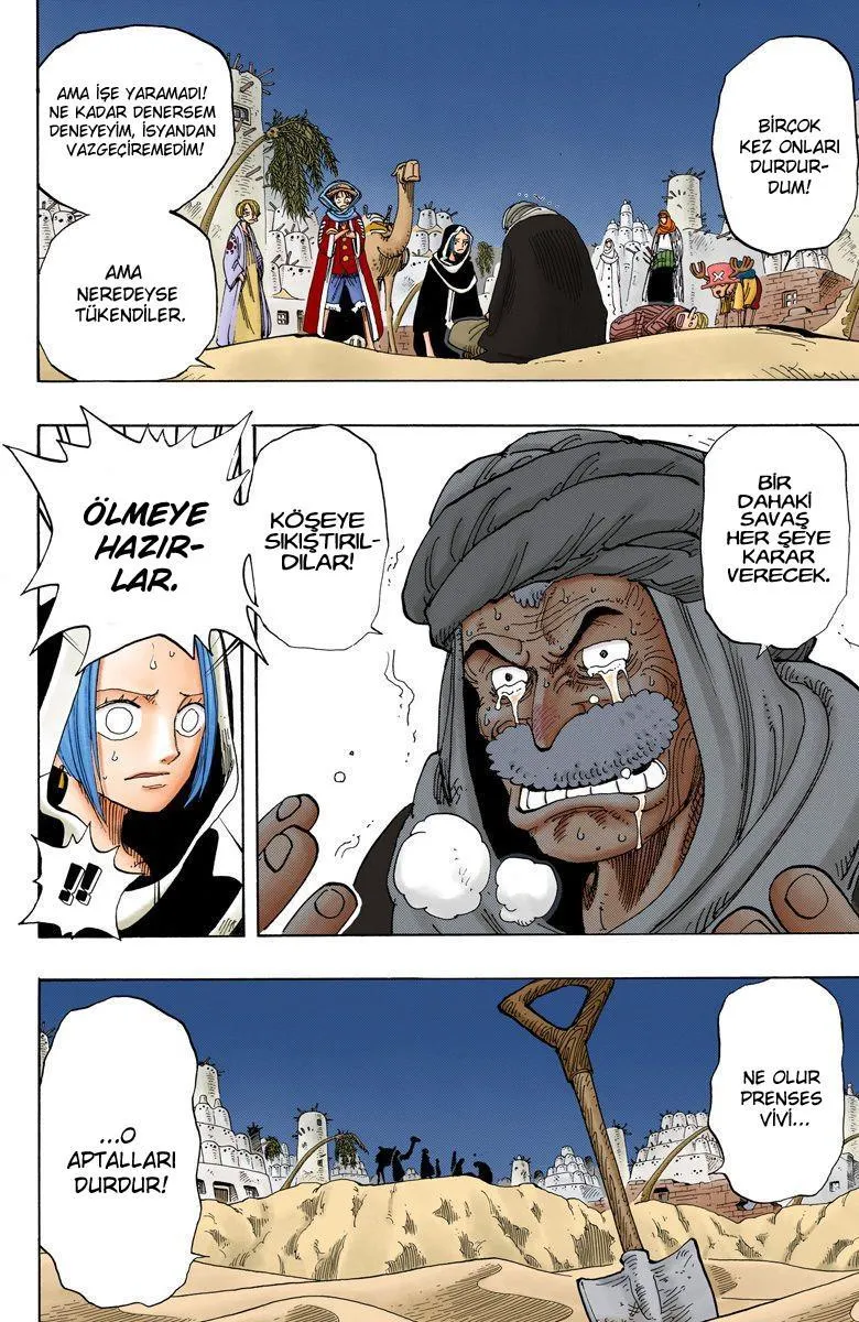 One Piece [Renkli] - Sayfa 19