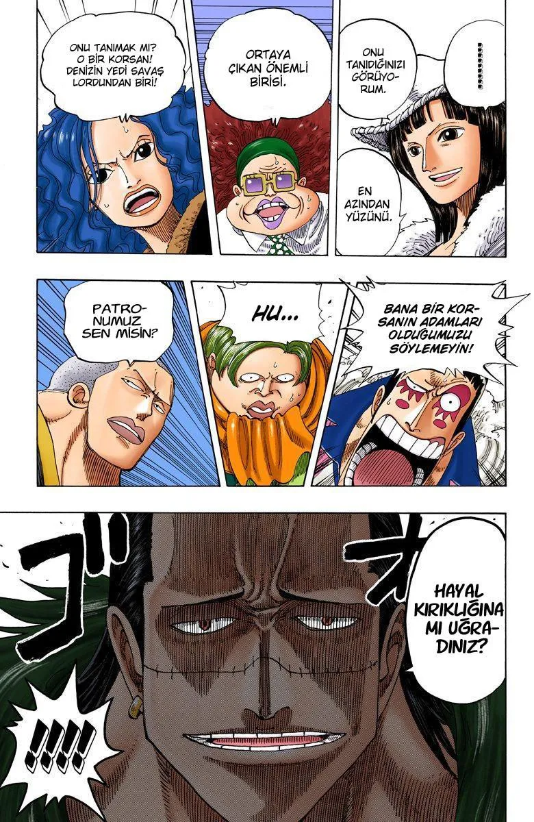 One Piece [Renkli] - Sayfa 13