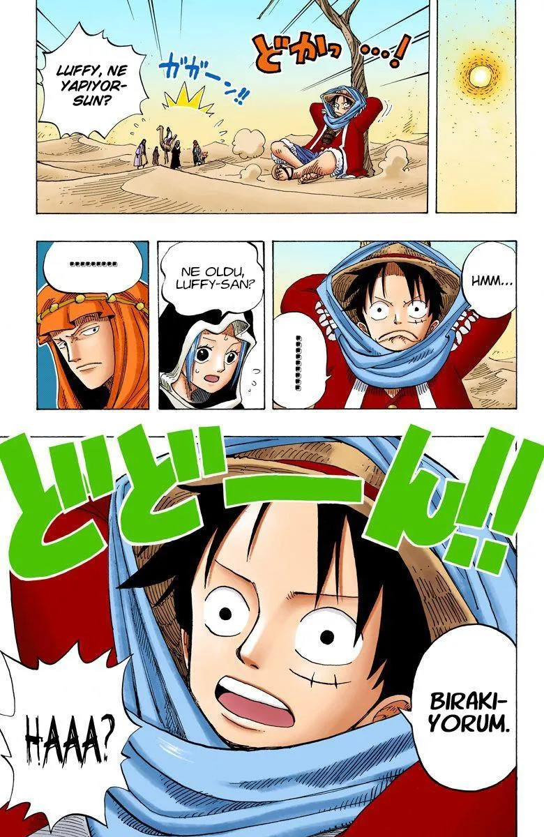 One Piece [Renkli] - Sayfa 19