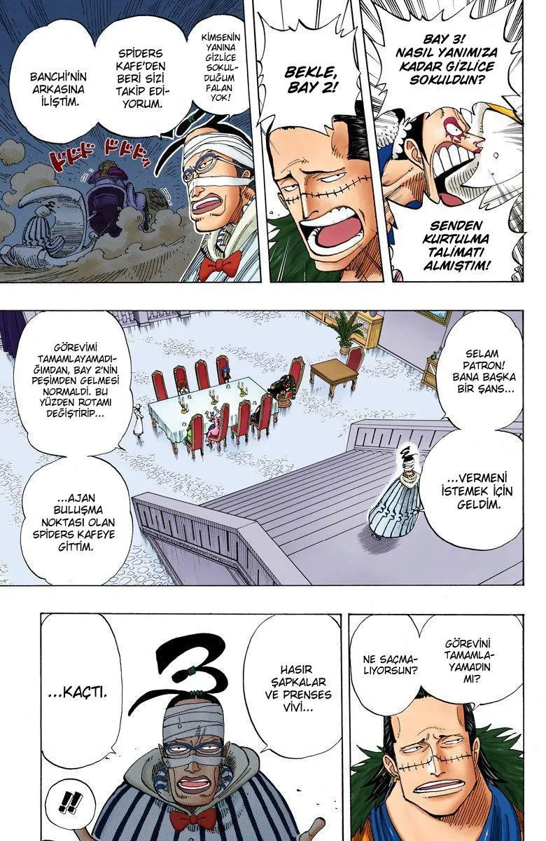 One Piece [Renkli] - Sayfa 4