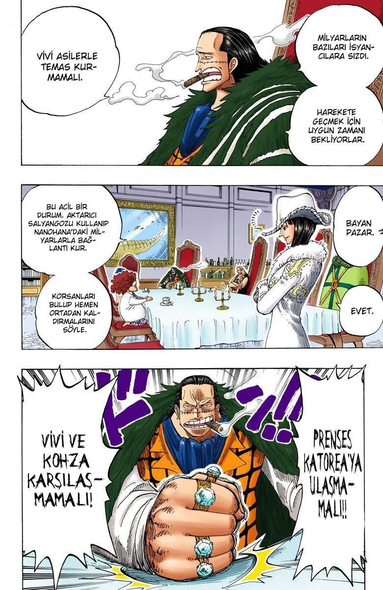 One Piece [Renkli] - Sayfa 13