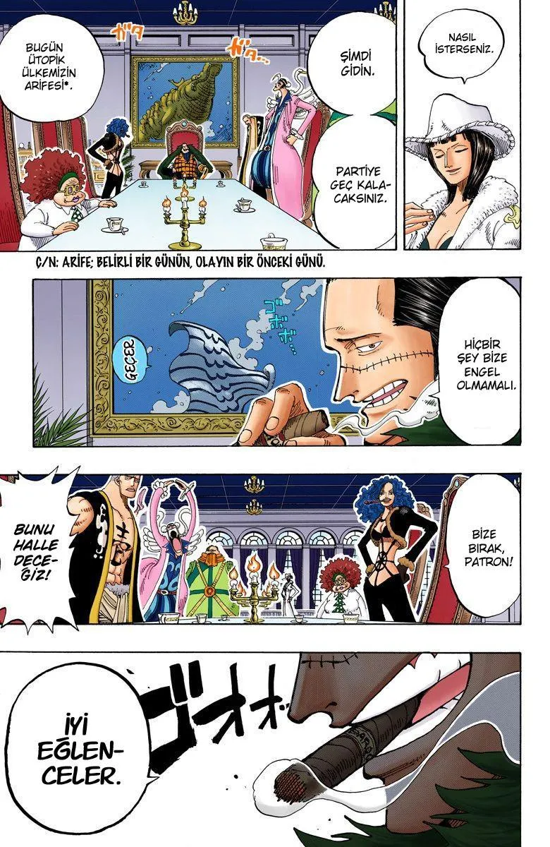 One Piece [Renkli] - Sayfa 14