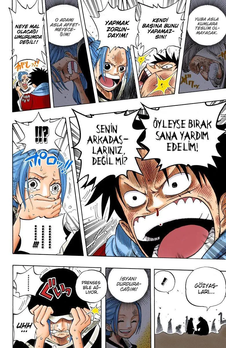 One Piece [Renkli] - Sayfa 19