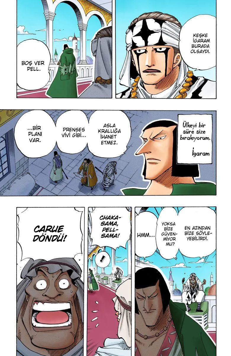 One Piece [Renkli] - Sayfa 14