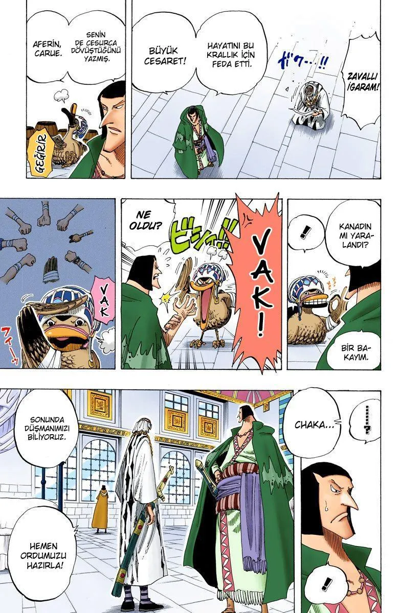 One Piece [Renkli] - Sayfa 16