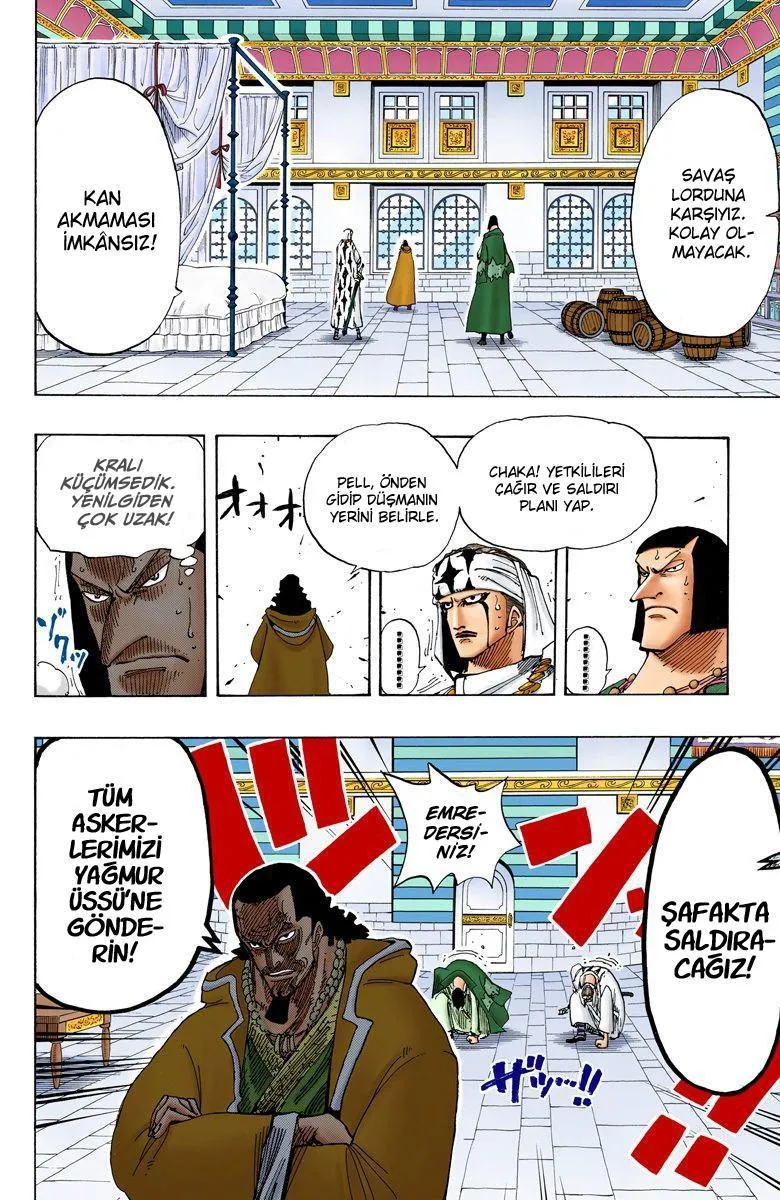 One Piece [Renkli] - Sayfa 19