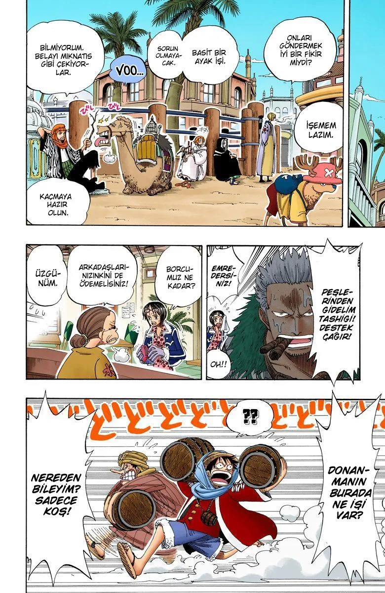 One Piece [Renkli] - Sayfa 9