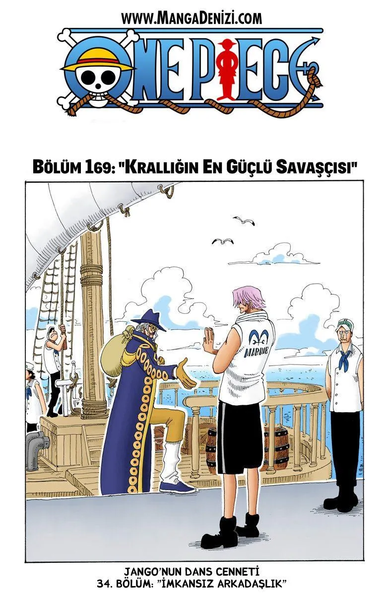 One Piece [Renkli] - Sayfa 2