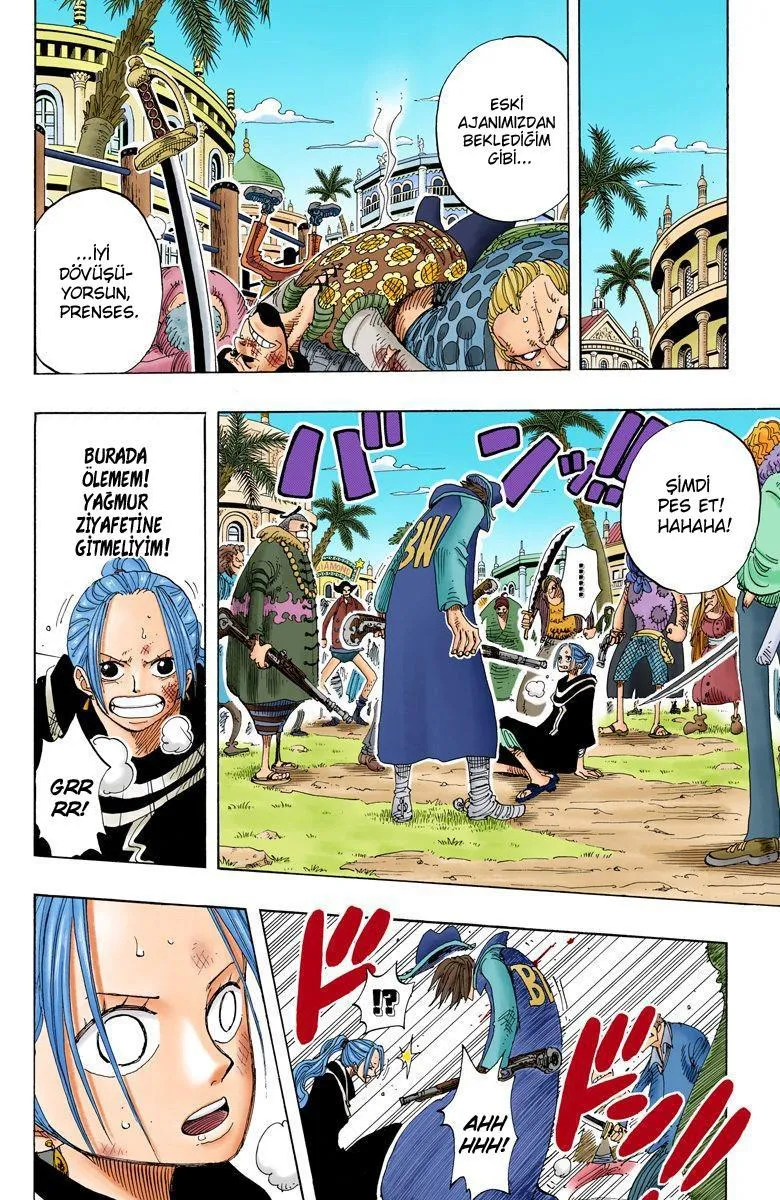 One Piece [Renkli] - Sayfa 15