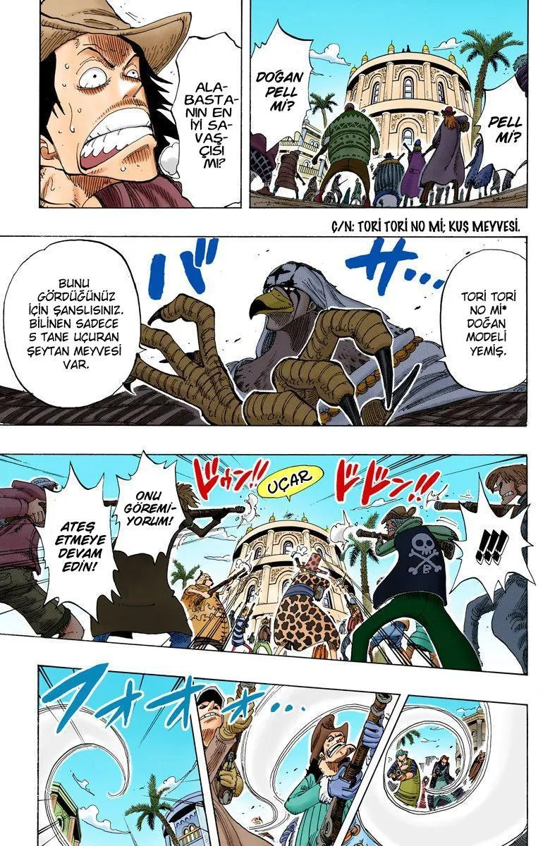 One Piece [Renkli] - Sayfa 18