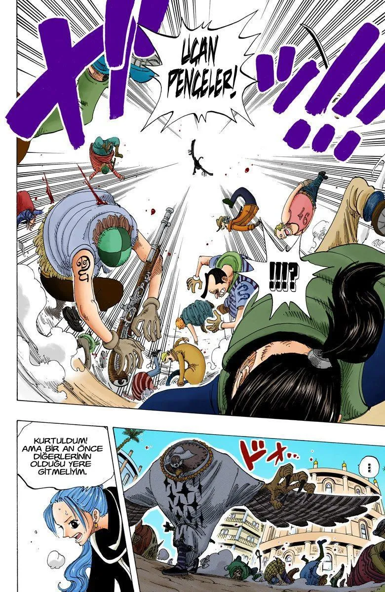 One Piece [Renkli] - Sayfa 19