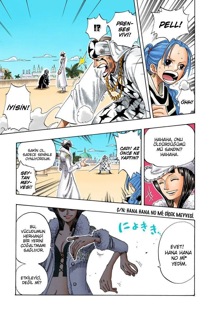 One Piece [Renkli] - Sayfa 8