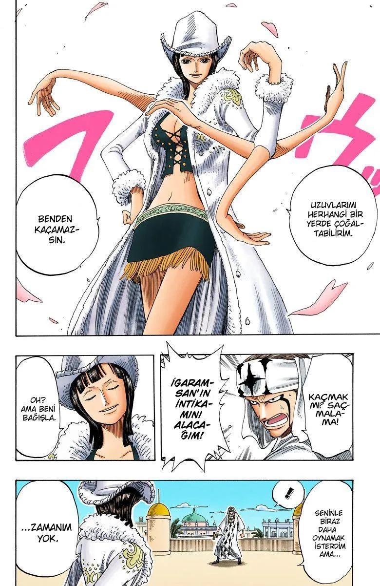 One Piece [Renkli] - Sayfa 9