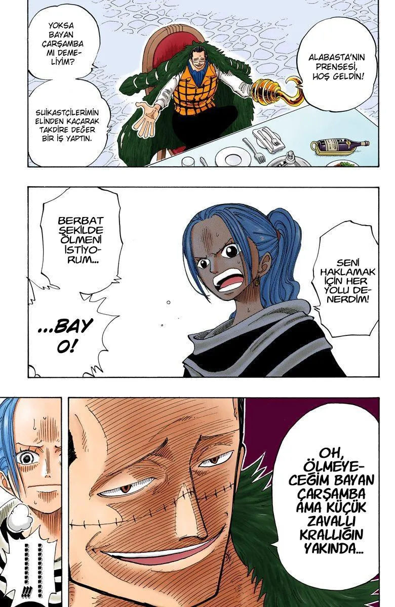 One Piece [Renkli] - Sayfa 16