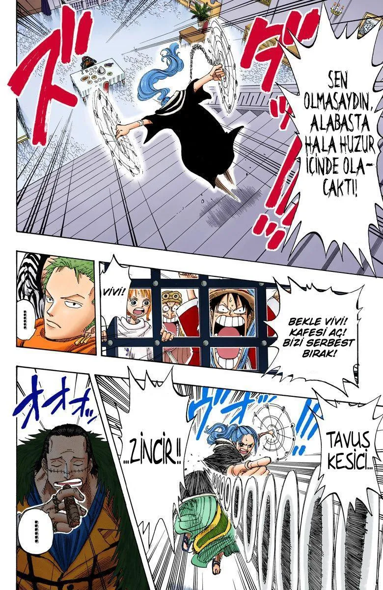 One Piece [Renkli] - Sayfa 17