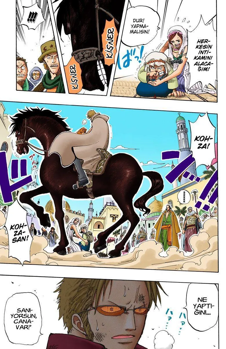 One Piece [Renkli] - Sayfa 14