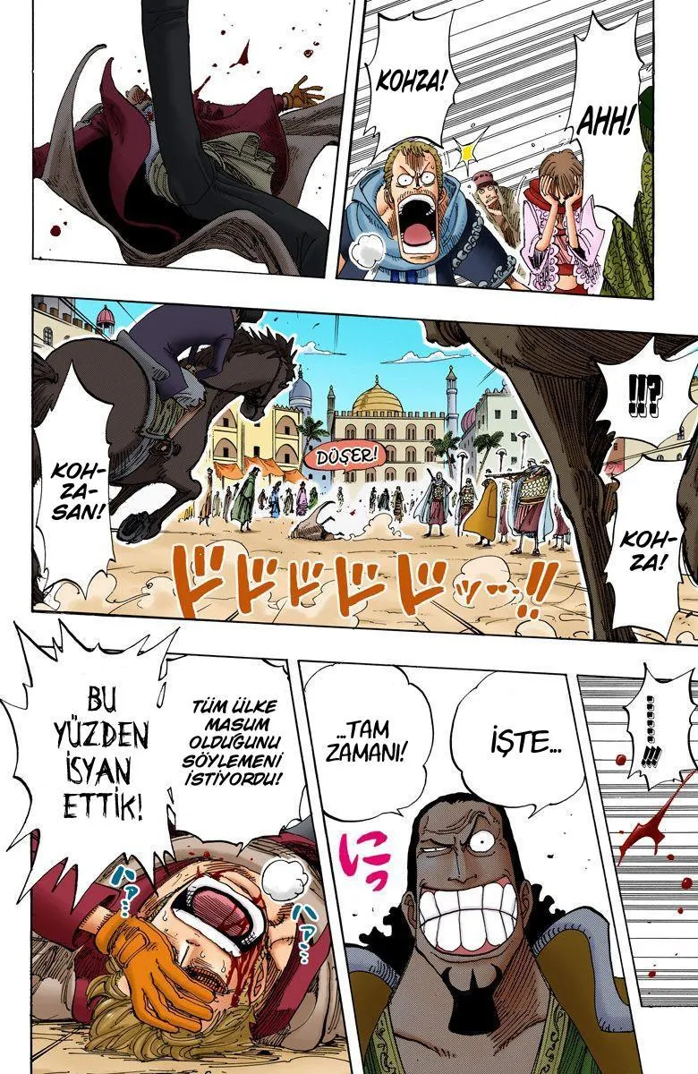 One Piece [Renkli] - Sayfa 17