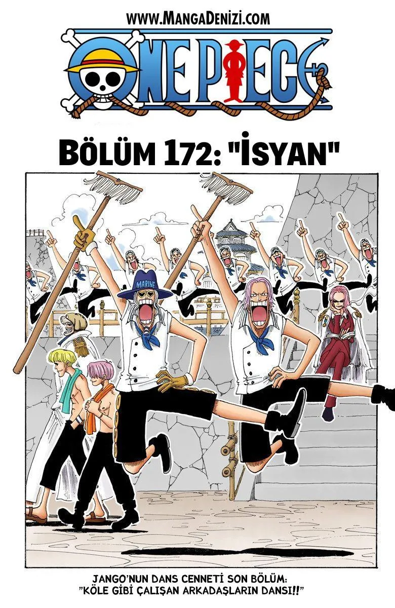 One Piece [Renkli] - Sayfa 2