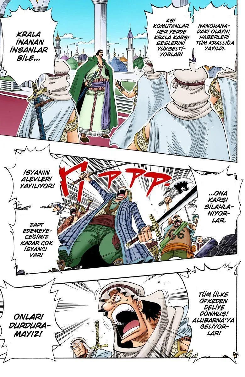 One Piece [Renkli] - Sayfa 12