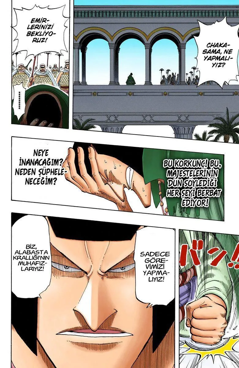 One Piece [Renkli] - Sayfa 13