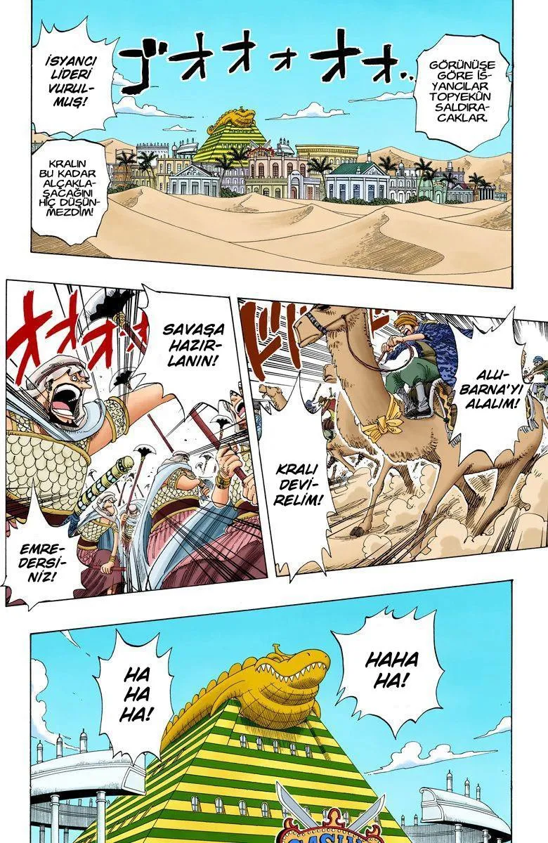 One Piece [Renkli] - Sayfa 15