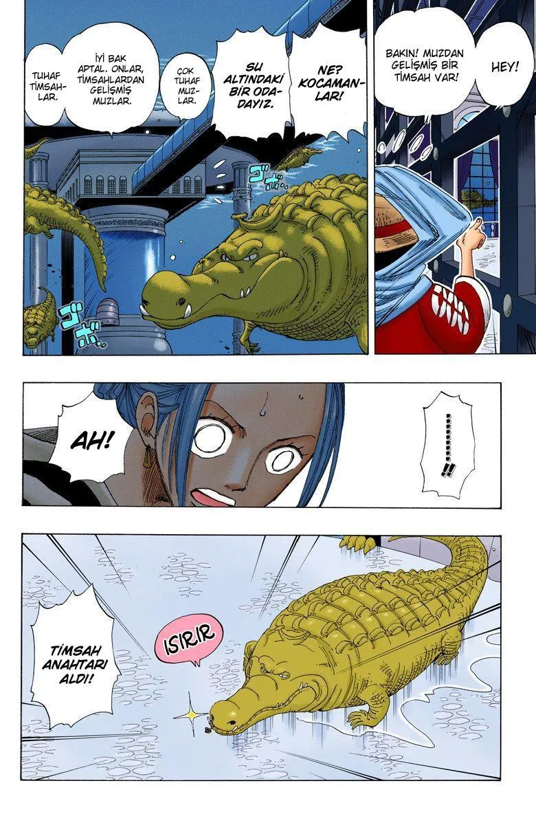 One Piece [Renkli] - Sayfa 5