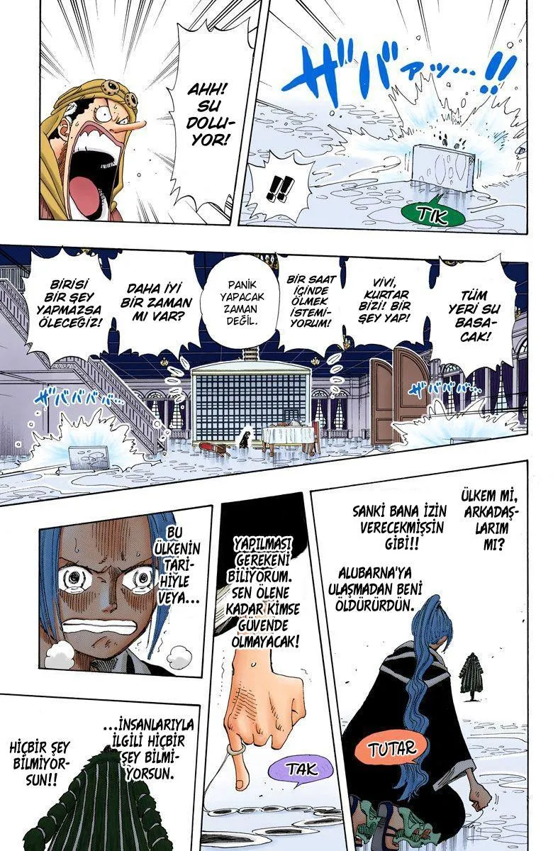 One Piece [Renkli] - Sayfa 12