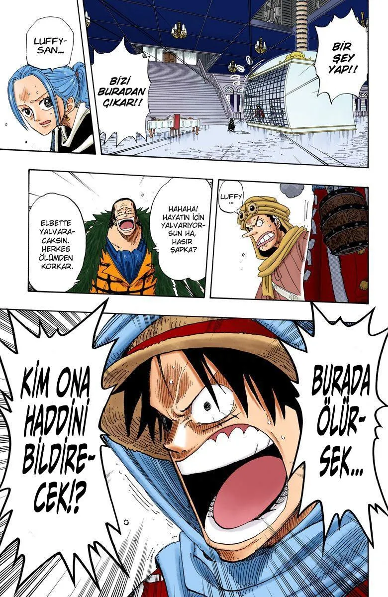 One Piece [Renkli] - Sayfa 14