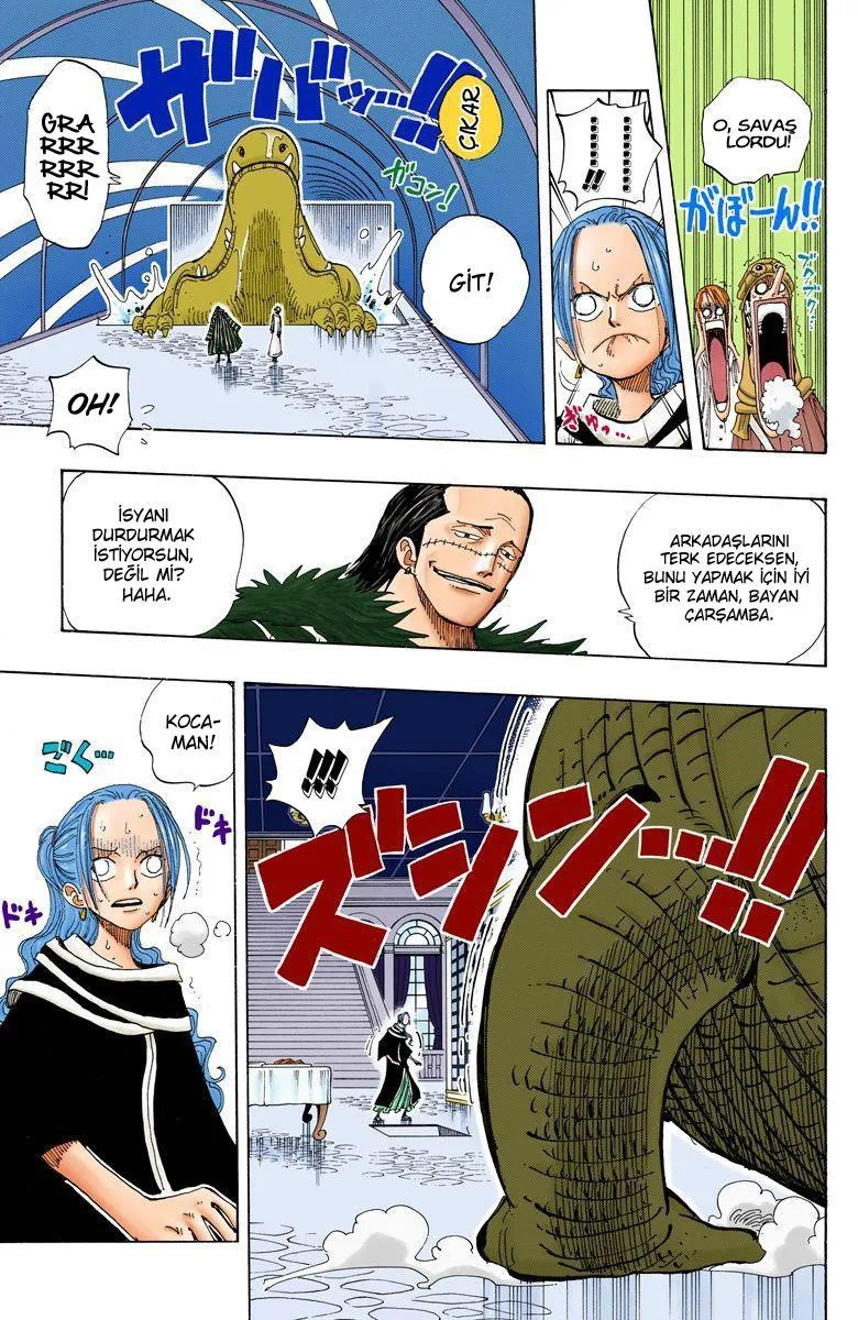 One Piece [Renkli] - Sayfa 16