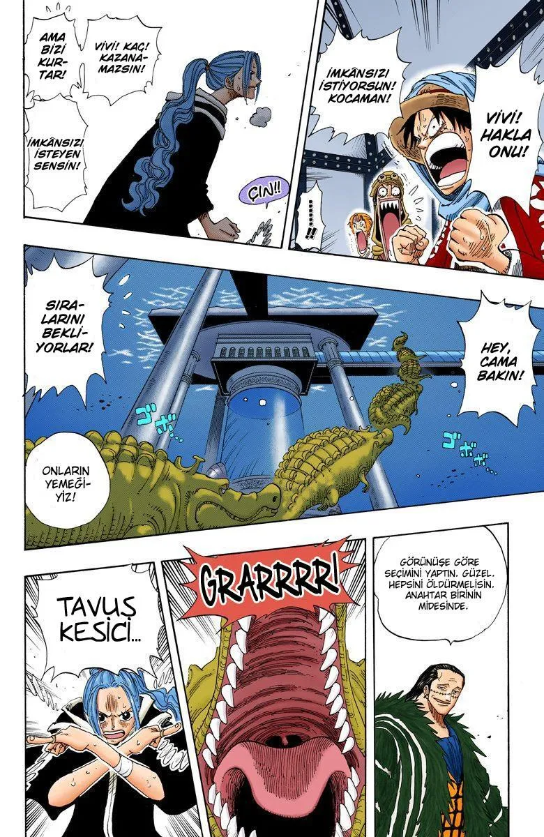 One Piece [Renkli] - Sayfa 17