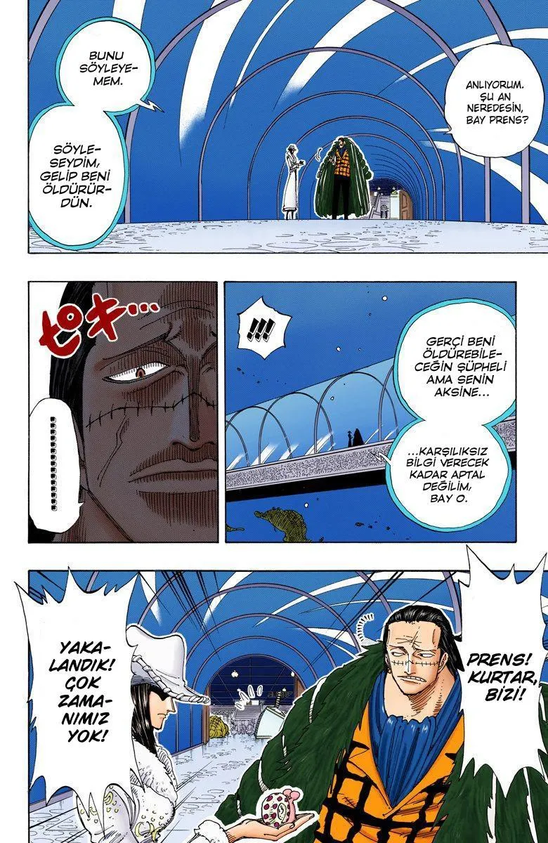 One Piece [Renkli] - Sayfa 5