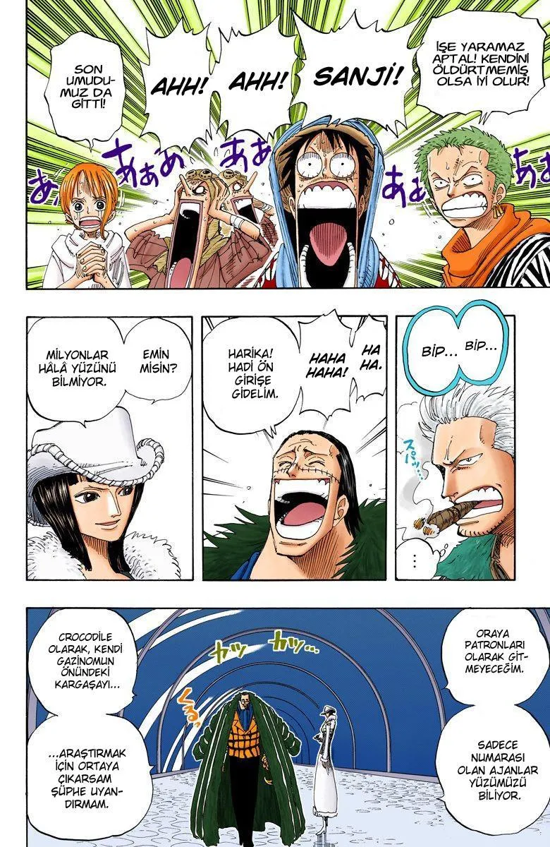 One Piece [Renkli] - Sayfa 7