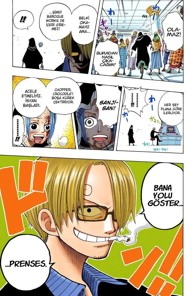 One Piece [Renkli] - Sayfa 20